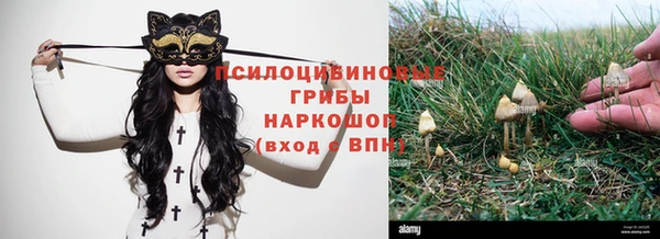 а пвп мука Баксан