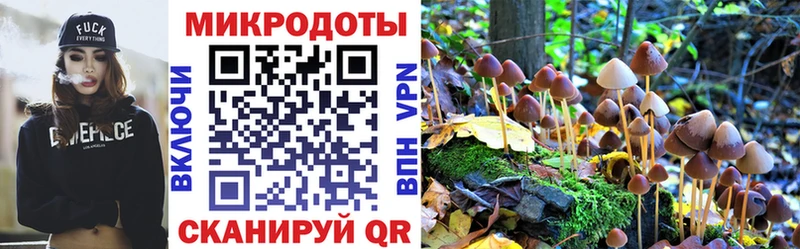 Псилоцибиновые грибы мицелий  купить  цена  блэк спрут маркетплейс  Фокино 