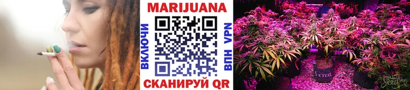 где купить Фокино площадка телеграм Канабис гибрид